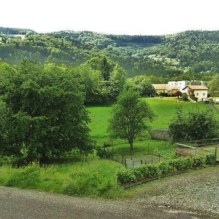 Hotel Les Jolis Coeurs Thiéfosse Exteriér fotografie